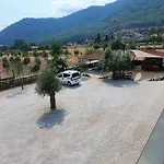 Olive Tree Muğla