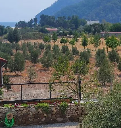 Olive Tree Appart hôtel Muğla