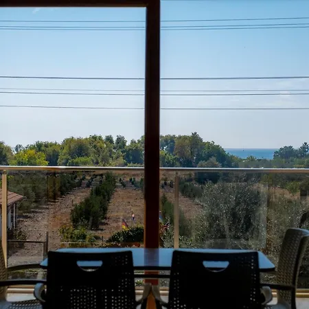 Appart hôtel Olive Tree Muğla