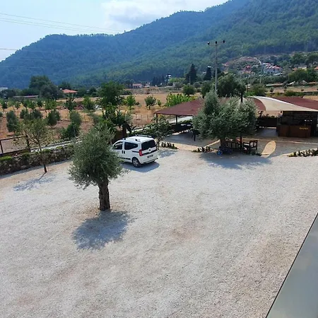Olive Tree Appart hôtel Muğla