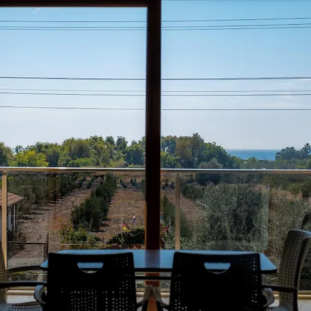 Olive Tree Muğla