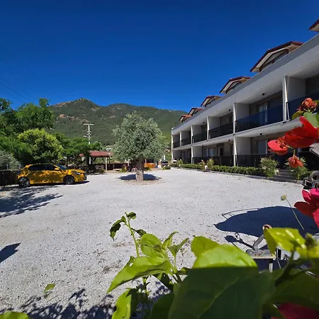 Olive Tree Apart Otel