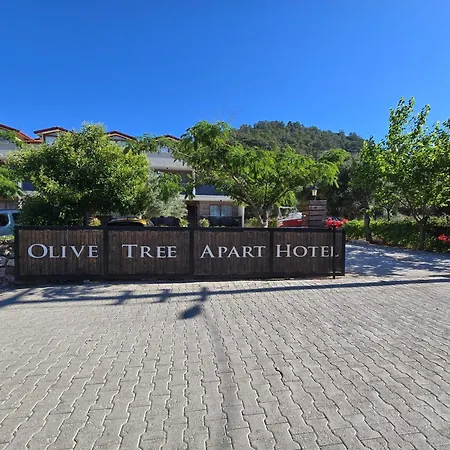 Olive Tree