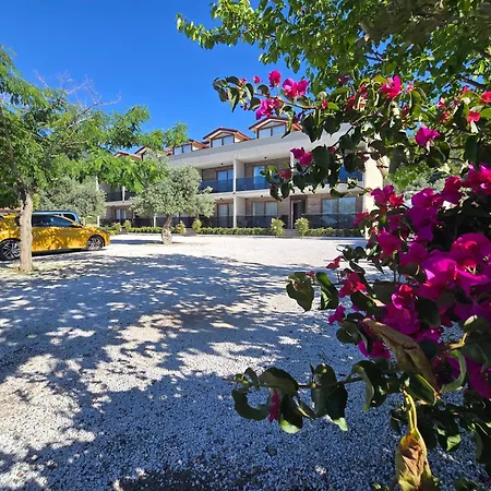 Aparthotel Olive Tree 3*