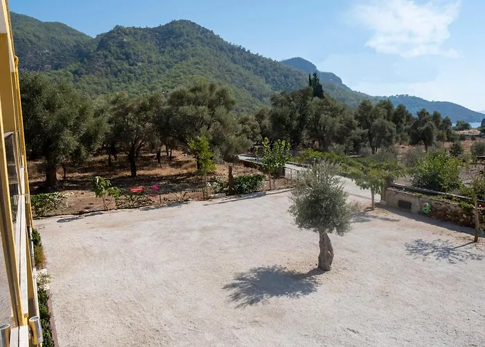 Olive Tree Lägenhetshotell Muğla