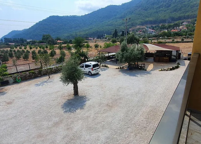 Olive Tree Lägenhetshotell Muğla