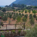 Olive Tree Hotel de apartamente Muğla