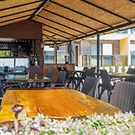 Olive Tree ムーラ