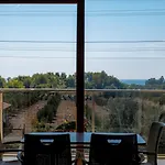 Olive Tree ムーラ
