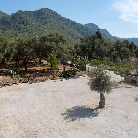 Olive Tree Apartmanhotel Muğla