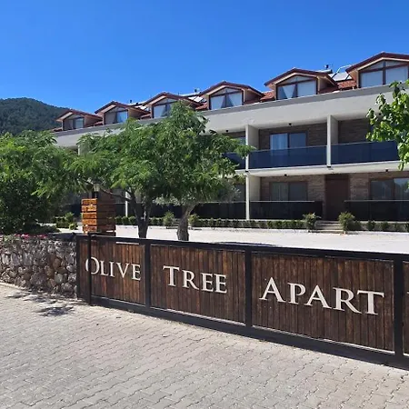 Olive Tree * Mugla