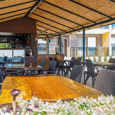 Olive Tree ムーラ