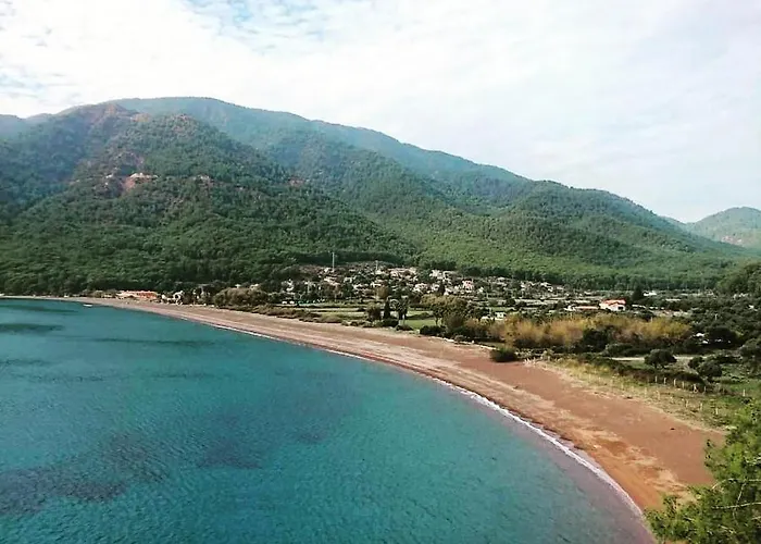 アパートホテル Olive Tree 3*