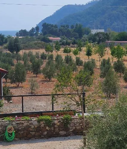 Olive Tree Апарт-отель Мугла