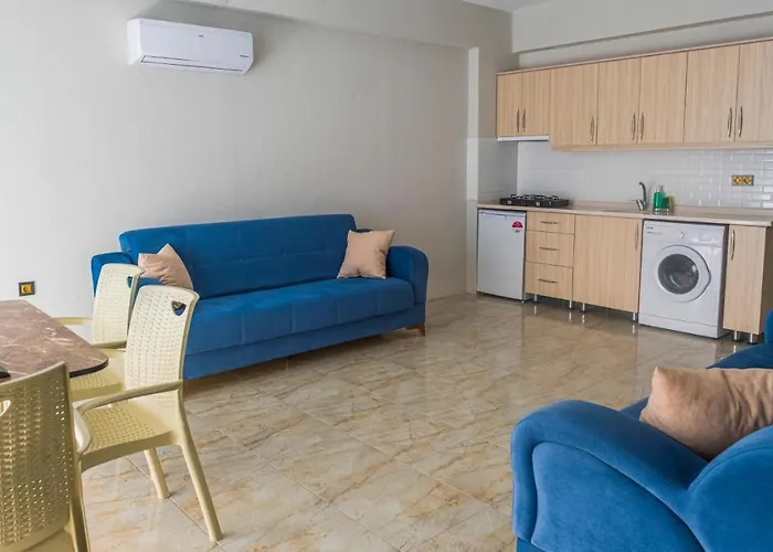 Olive Tree ムーラ