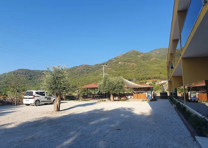 Olive Tree Апарт-отель 3*