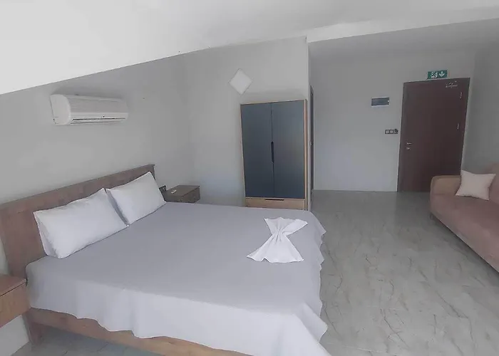 Olive Tree ムーラ